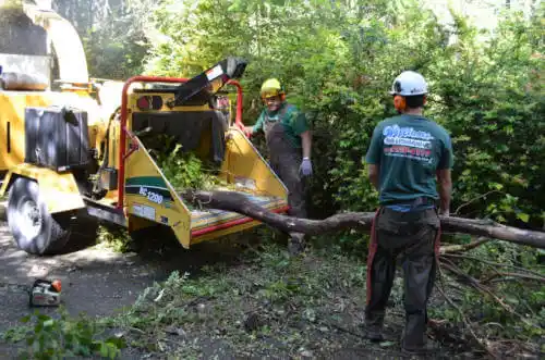 tree services Weiner